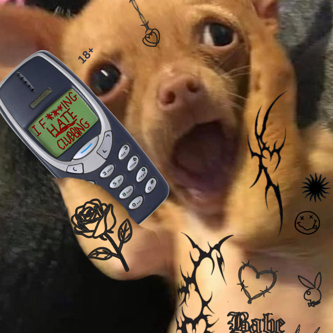 i f***ing h8 clubbing